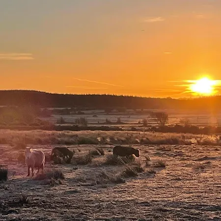 아파트 Saddleview Farm, Galway 윌리암스타운