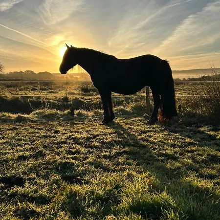 Saddleview Farm, Galway