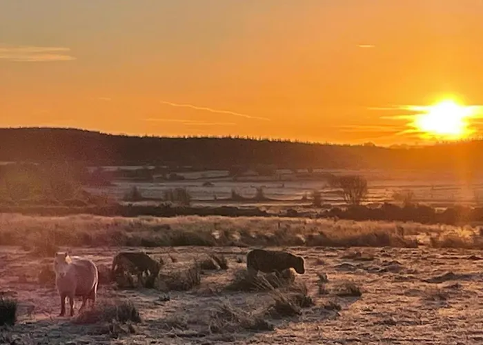 Lägenhet Saddleview Farm, Galway Williamstown